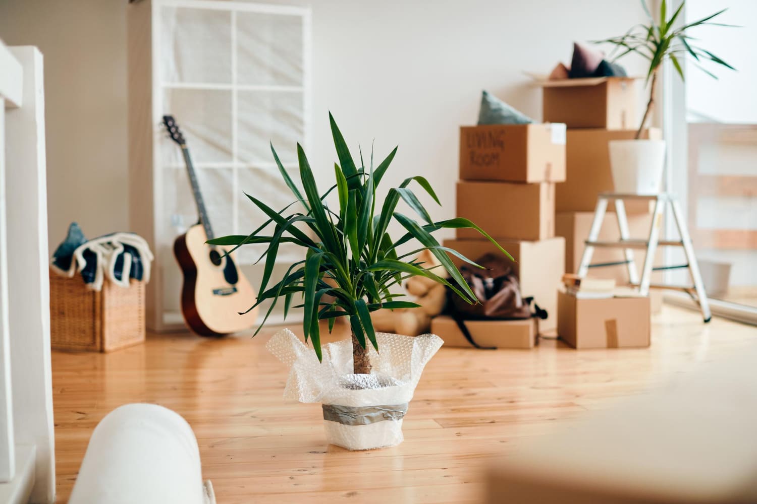Move In/Out